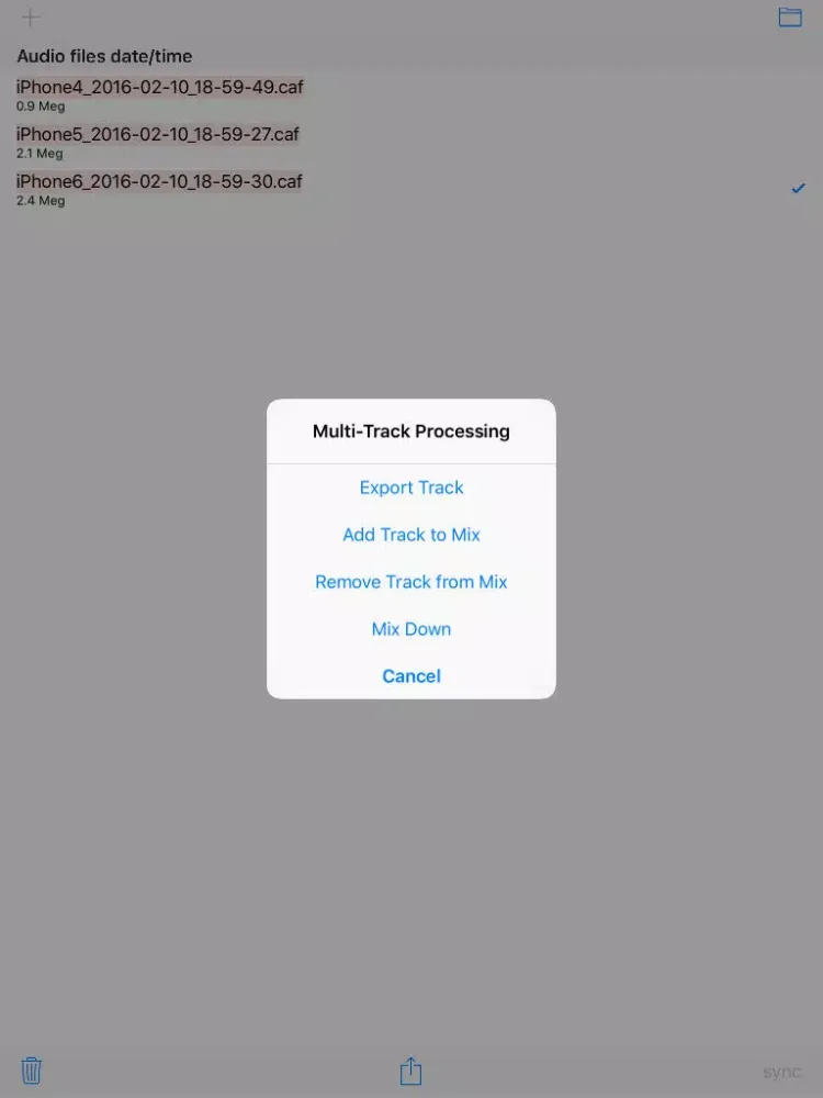 Sound Sync'd Recorder iPad  스크린샷