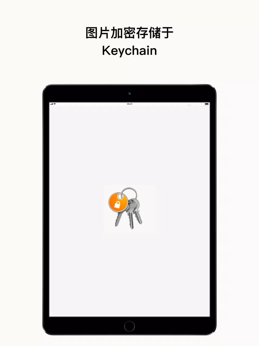 ID Safer iPad  স্ক্রিনশট