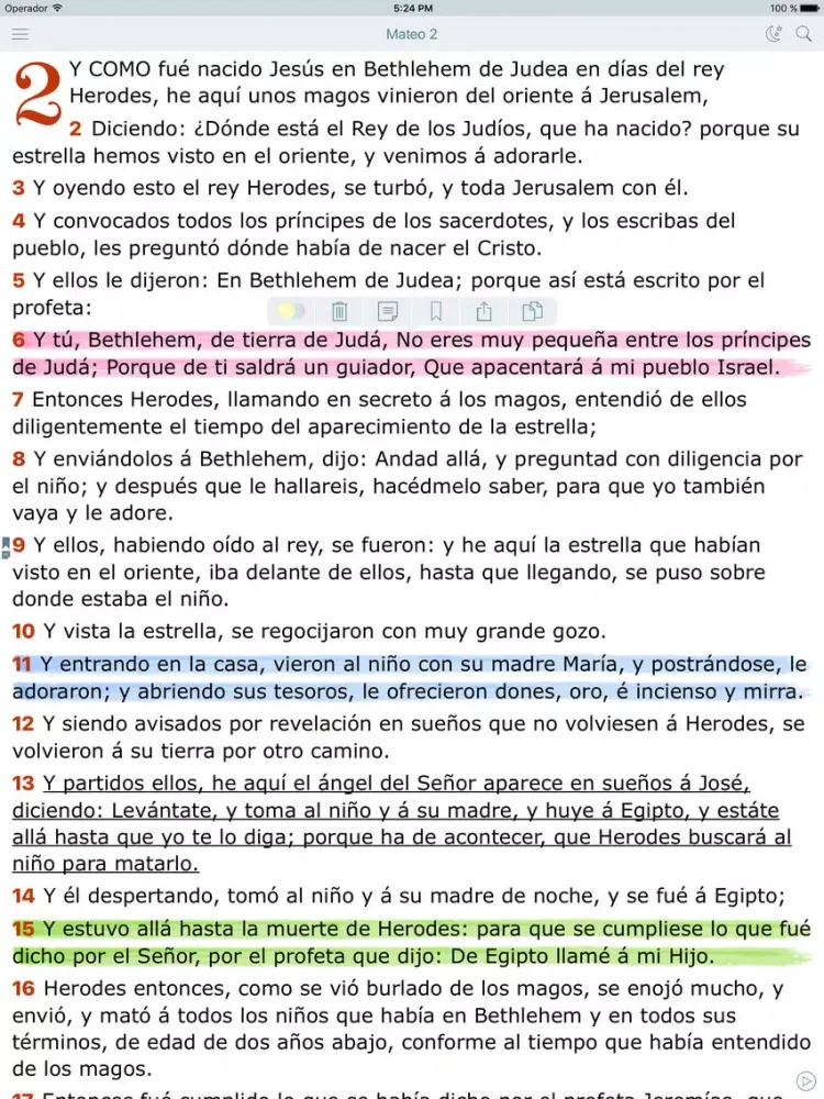 Nuevo Testamento. La Santa Biblia (Reina Valera) iPad  سکرین شاٹس