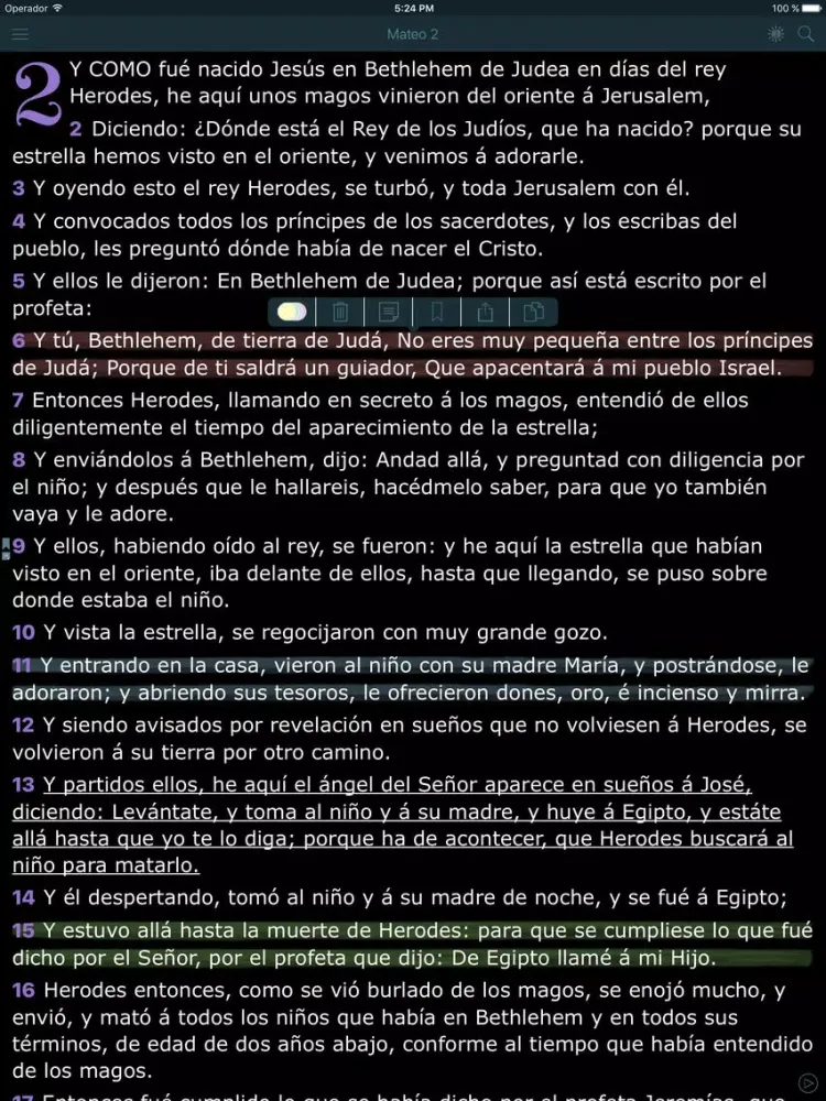 Nuevo Testamento. La Santa Biblia (Reina Valera) iPad  سکرین شاٹس