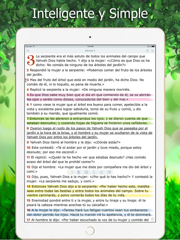 La Biblia de Jerusalén iPad 应用截图
