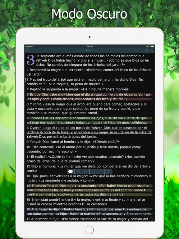 La Biblia de Jerusalén iPad 应用截图