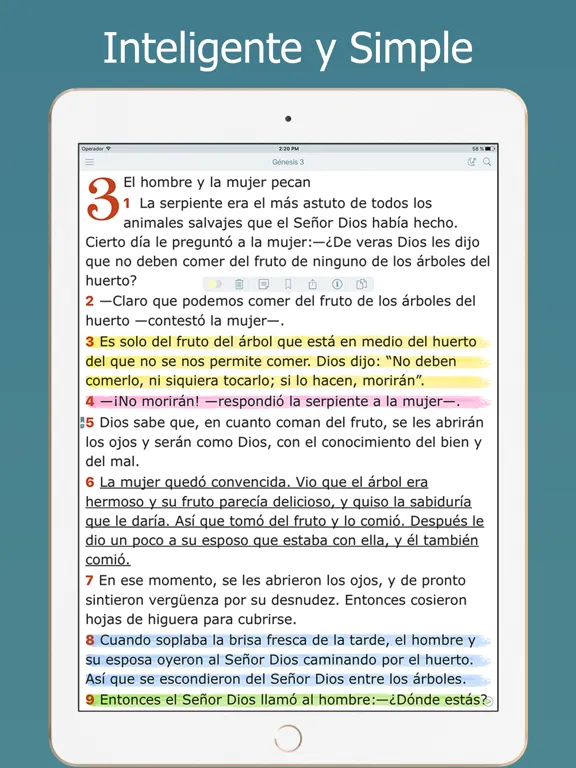 Screenshot di La Biblia NTV en Español Audio iPad 