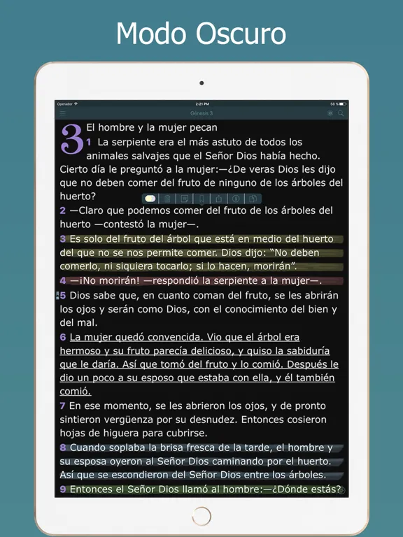 Screenshot di La Biblia NTV en Español Audio iPad 