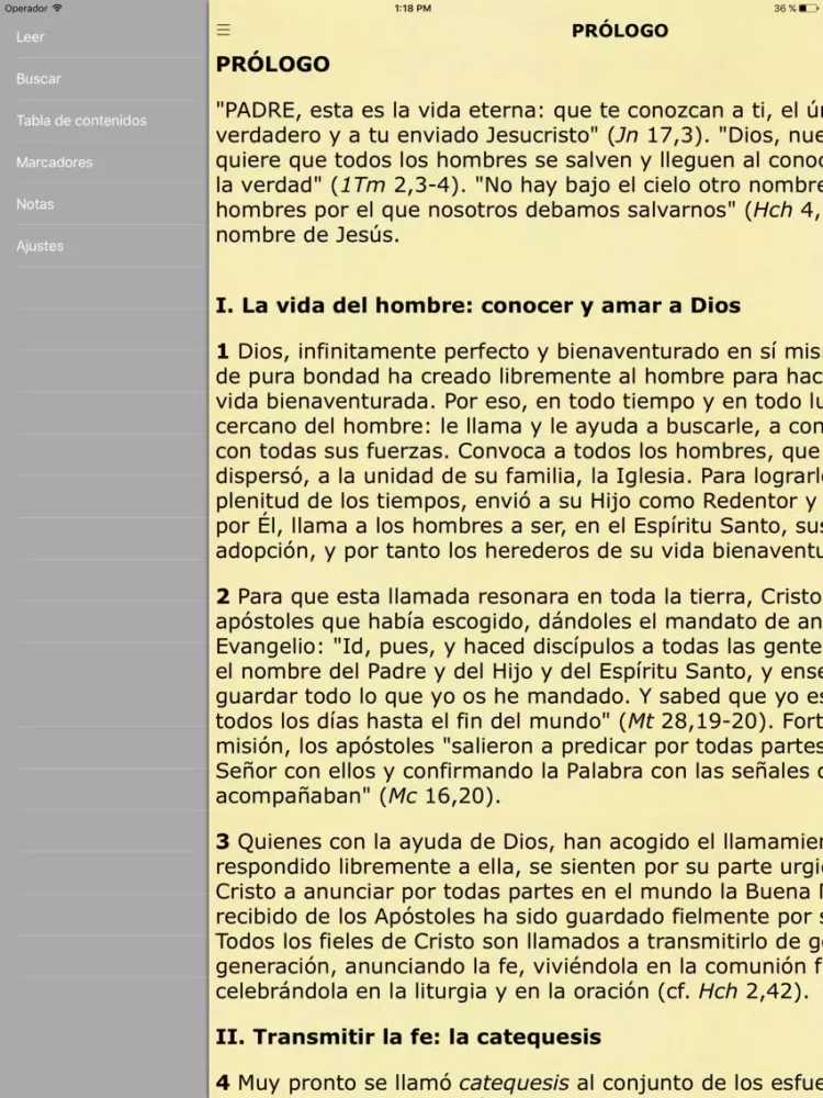 Catecismo Iglesia Católica - Catholic Catechism iPad  স্ক্রিনশট