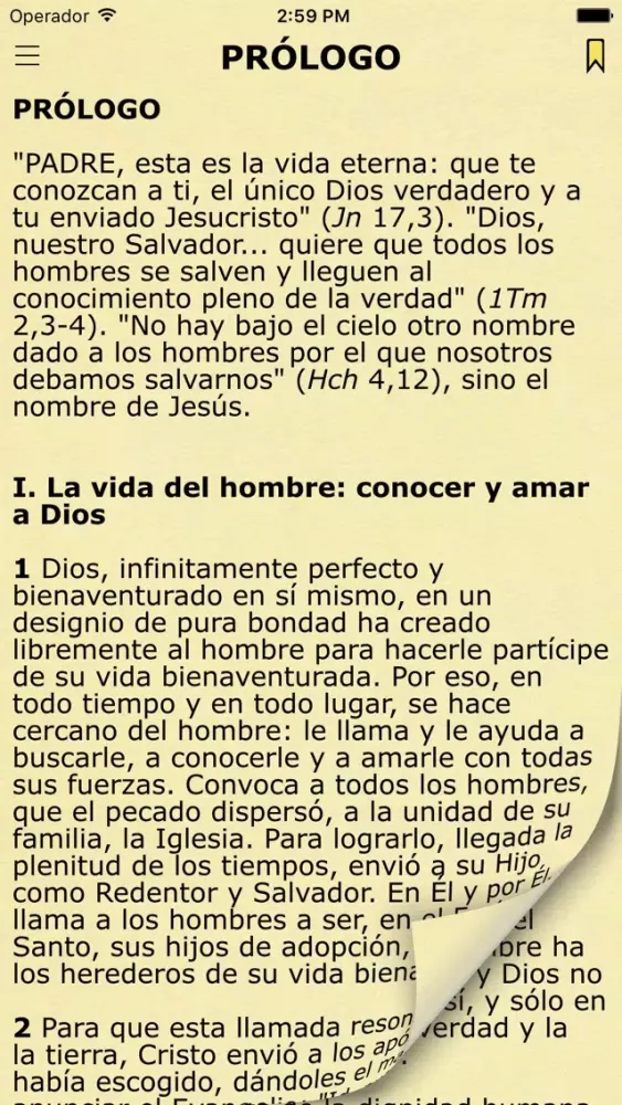 Catecismo Iglesia Católica - Catholic Catechism স্ক্রিনশট