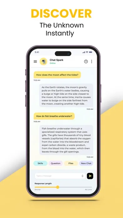 Chat Spark Screenshots