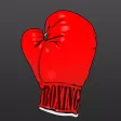 Box Bag