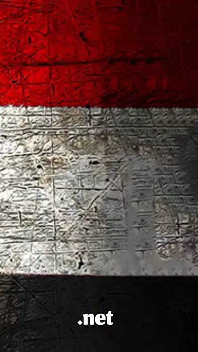 Ảnh chụp màn hình của Notícias do tricolor