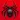 Spider Solitaire