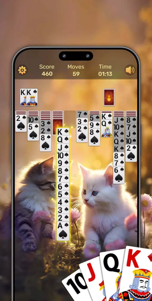 Spider Solitaire سکرین شاٹس