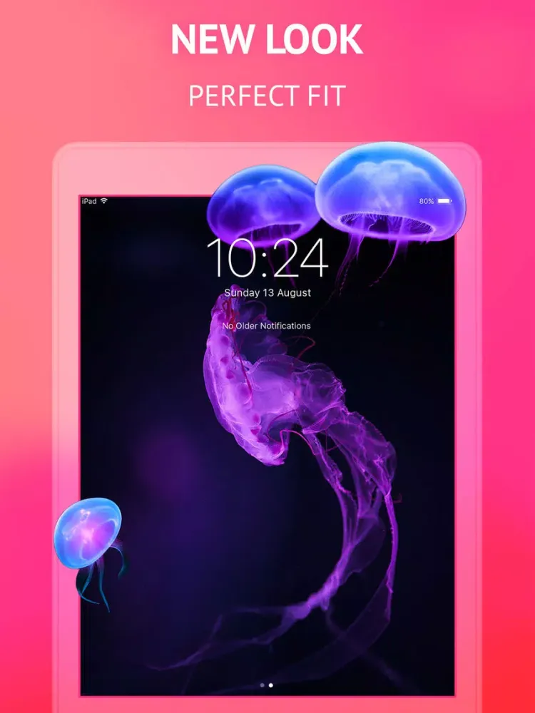Capturas de pantalla de SPLASH iPad 