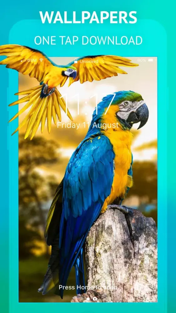 Capturas de pantalla de SPLASH