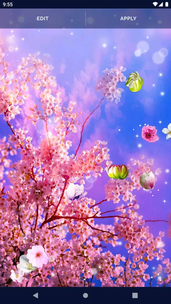 Cherry Blossom Live Wallpaper Screenshots