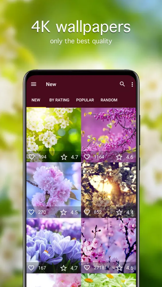 Spring Wallpapers 4K Ekran Görüntüleri