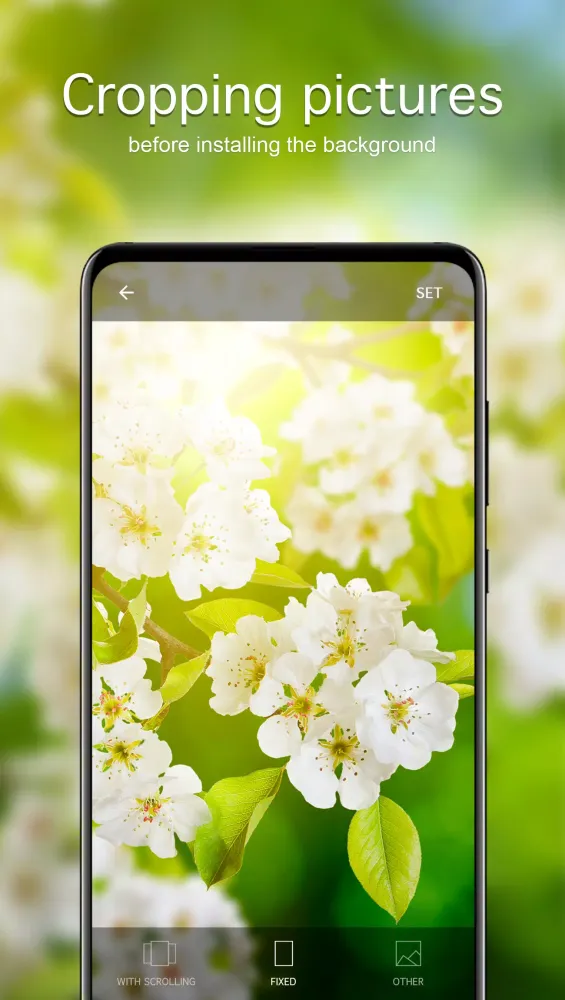 Spring Wallpapers 4K Ekran Görüntüleri