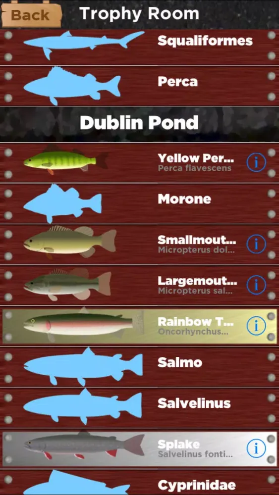 Spring Fishing Screenshots