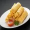 Spring Roll Recipes