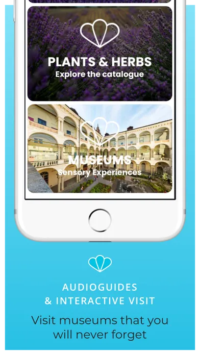 Ảnh chụp màn hình của Mappae
