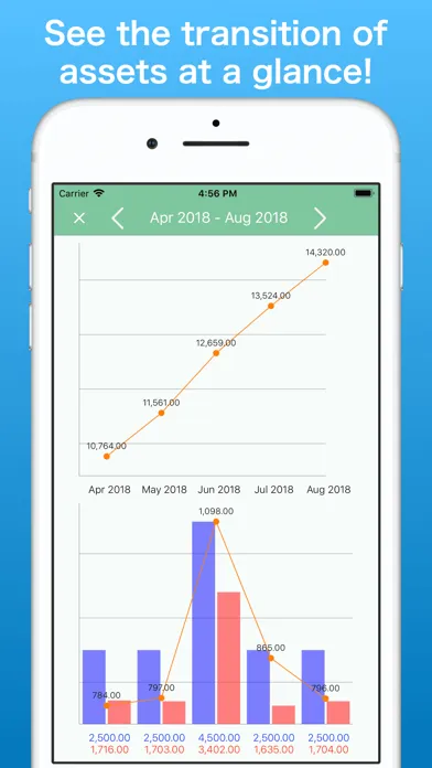 Household Accounts! Moneysave スクリーンショット