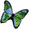 Starbit International
