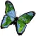 Starbit International