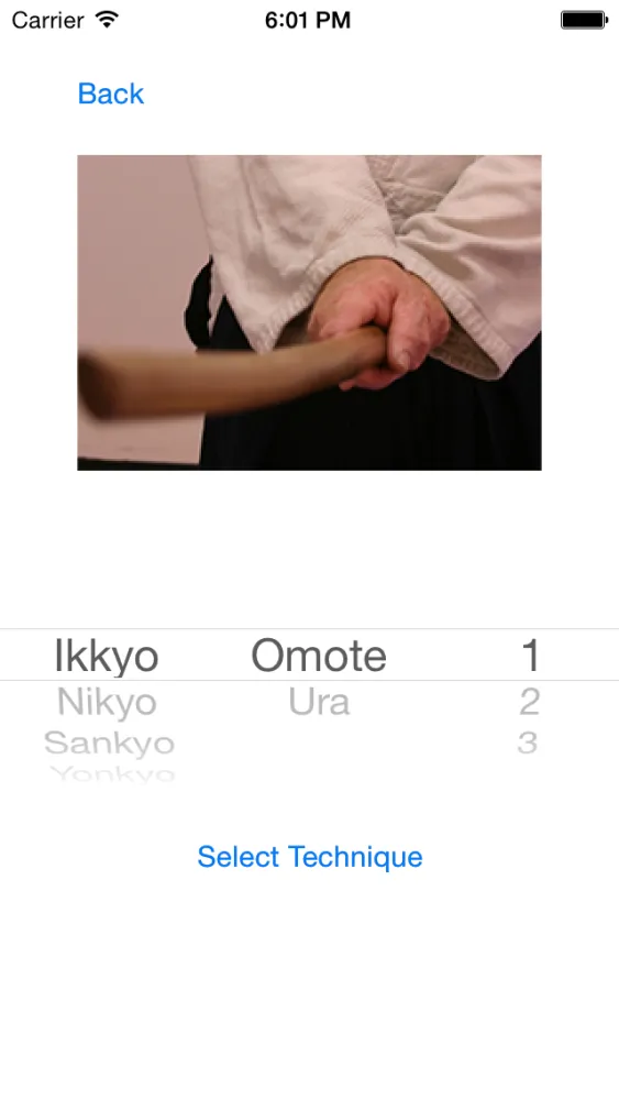 Скриншоты Aikido Weapon