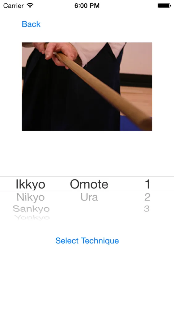 Скриншоты Aikido Weapon