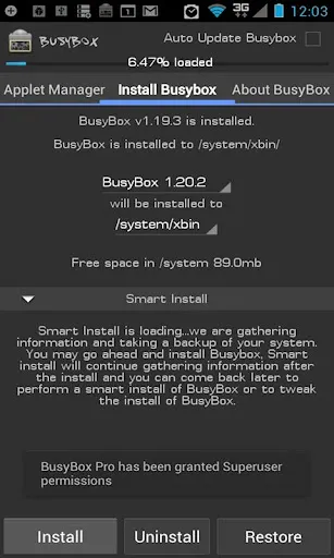 Ảnh chụp màn hình của BusyBox Pro