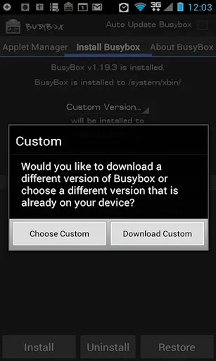 Ảnh chụp màn hình của BusyBox Pro