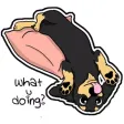 Dachshund Sticker