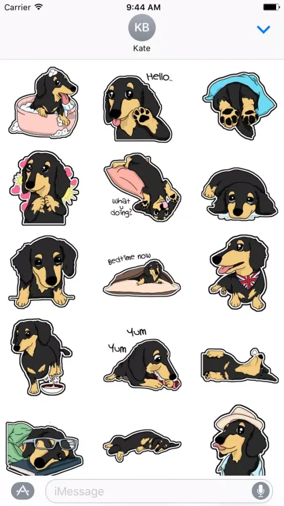 Dachshund Sticker سکرین شاٹس