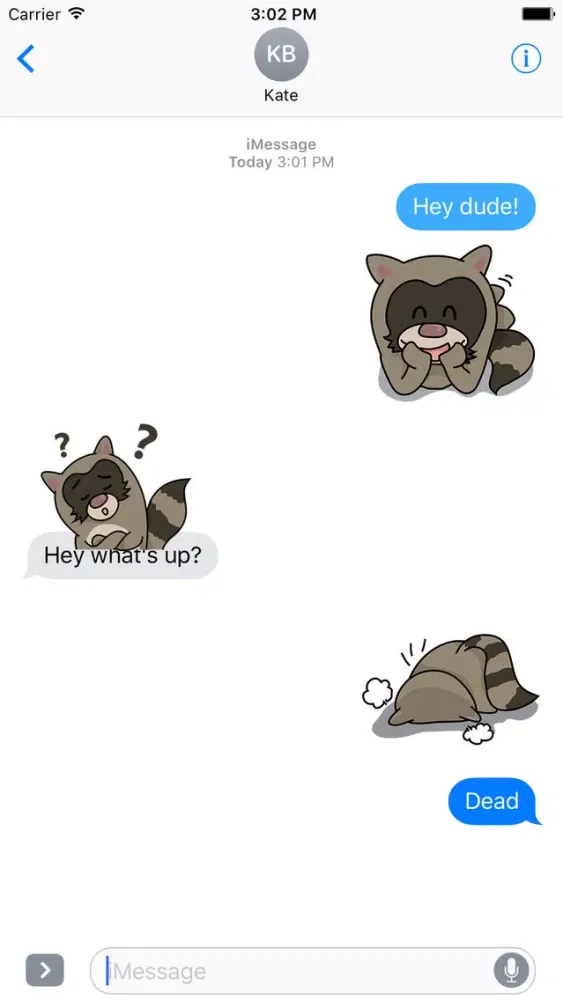 Zrzuty ekranu Racoons Racoons Sticker