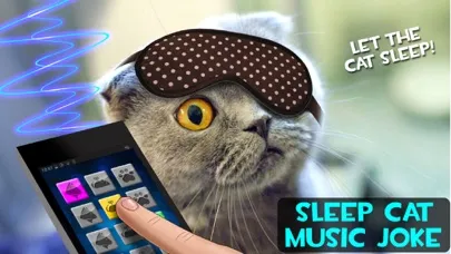 Zrzuty ekranu Sleep Cat Music Joke