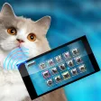 Translator Cat Pet Joke Translator Cat Pet Joke
