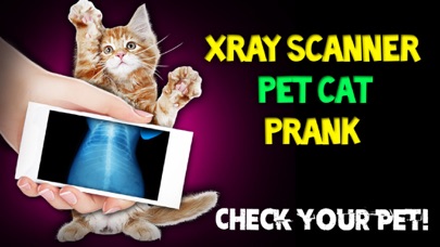 Xray Scanner Pet Cat Prank应用截图