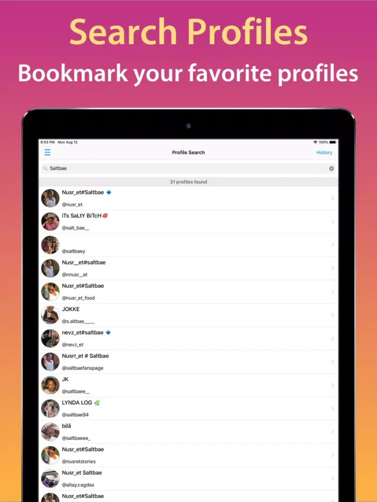 Story Plus+ Insta Media Viewer iPad  Screenshots