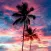 Palm Tree Wallpaper