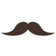 Mustaches and Beards