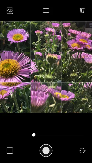Hock Photos應用截圖