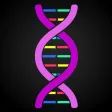 DNA - Pairing Game