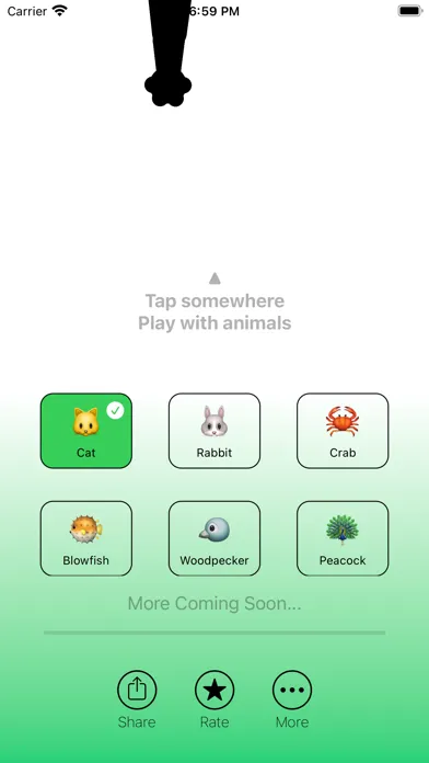 Dynamic Zoo Screenshots