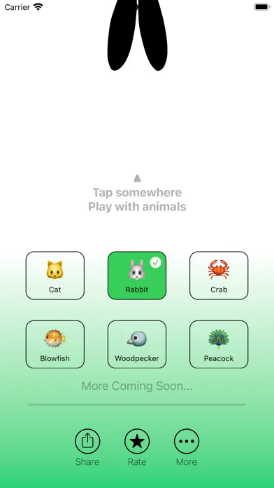 Dynamic Zoo Screenshots