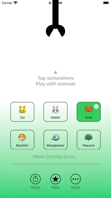 Dynamic Zoo Screenshots