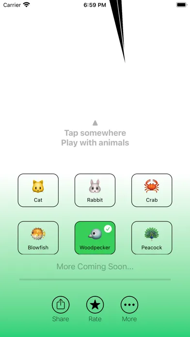Dynamic Zoo Screenshots