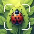 Insect Identifier: Bugs ID