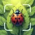 Insect Identifier: Bugs ID