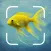 Aquatic Identifier: Fish ID