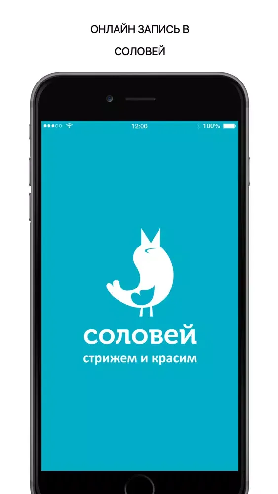 Соловей салон سکرین شاٹس