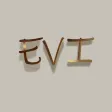 Студия красоты EVI